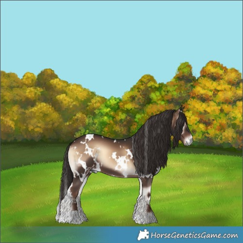 Horse Color:White Spotted Liver Red Onyx 