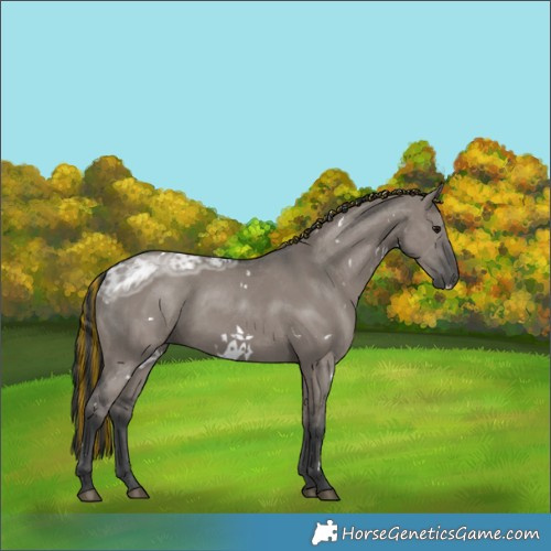 Horse Color:Painted White Spotted Grullo Ice 