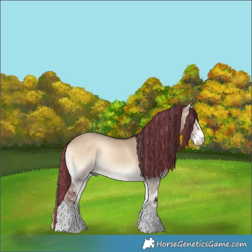 Horse Color:Painted Liver Red Dun Onyx Sabino 