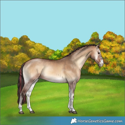 Horse Color:Painted Bay Onyx Sabino 