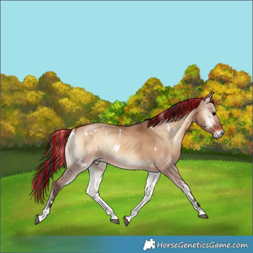 Horse Color:Painted White Spotted Bay Onyx 