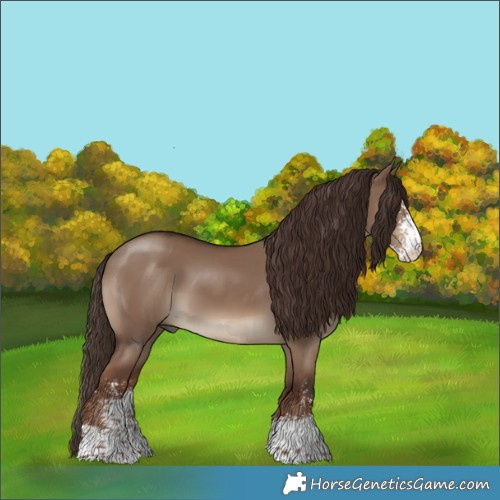 Horse Color:Liver Red Dun Sabino 