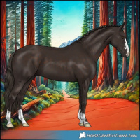 Horse Color:Liver Chestnut 