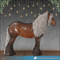 Horse Color:White Spotted Silver Bay 