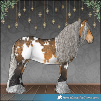 Horse Color:White Spotted Silver Buckskin 