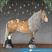Horse Color:White Spotted Silver Buckskin 