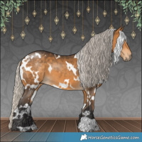 Horse Color:White Spotted Silver Buckskin 
