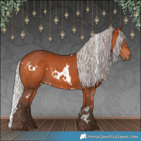 Horse Color:White Spotted Silver Bay 