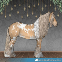 Horse Color:White Spotted Chocolate Palomino Dun 