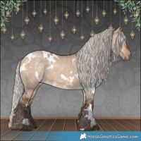 Horse Color:White Spotted Silver Bay Dun