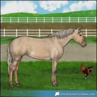 Horse Color:Chocolate Palomino Dun Varnish Brindle 