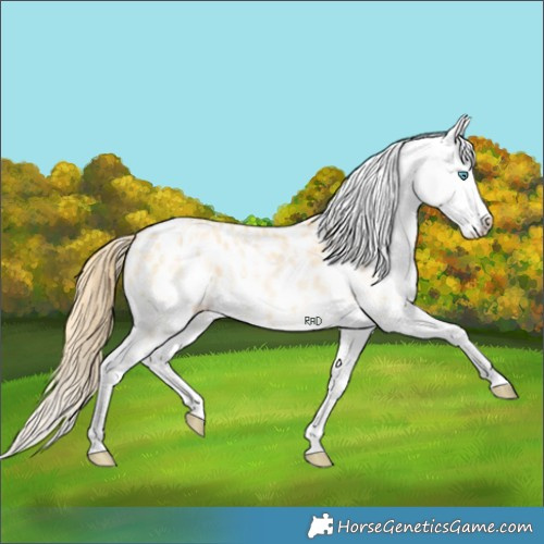 Horse Color:White Spotted Buckskin Snowdrop Dun Tobiano Appaloosa 