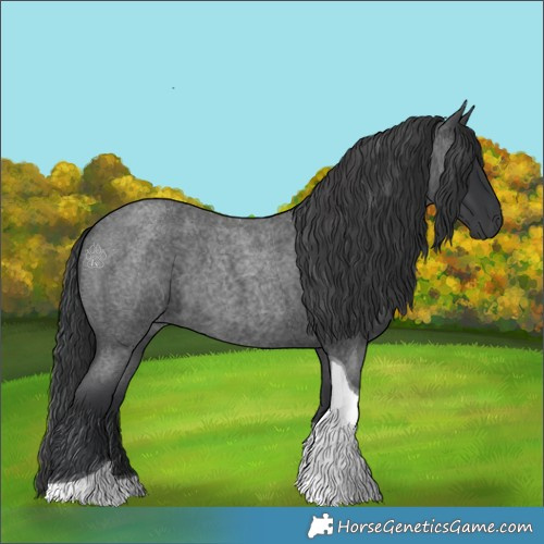 Horse Color:Blue Roan Tobiano 