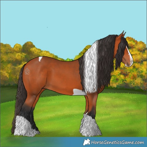Horse Color:Bay Splash Tobiano 