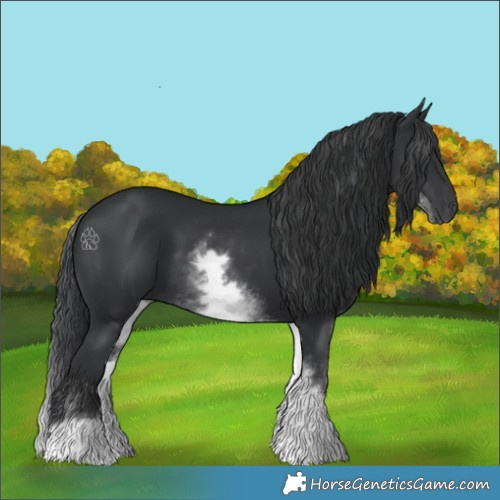 Horse Color:White Spotted Black 