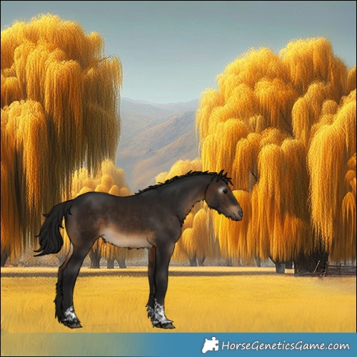 Horse Color:Gray Buckskin Tobiano Rabicano 