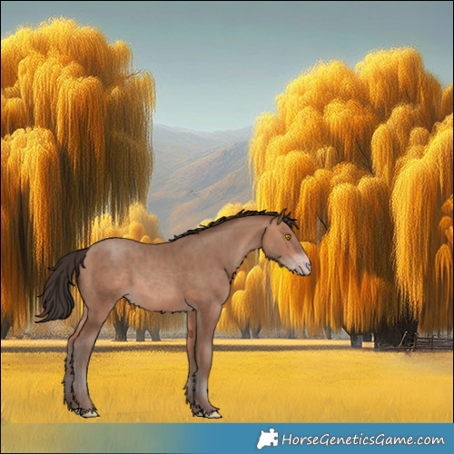 Horse Color:Sable Champagne 