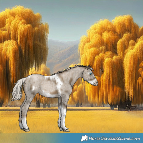 Horse Color:Gray Silver Smoky Black Pearl Sabino Tobiano Frame 