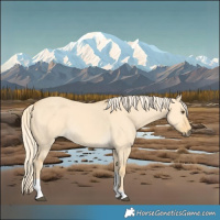 Horse Color:Palomino Dun Tobiano 