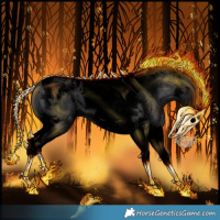 Horse Color:Void Black Splash Tobiano Appaloosa 