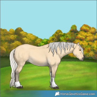 Horse Color:Silver Buckskin Dun Tobiano 