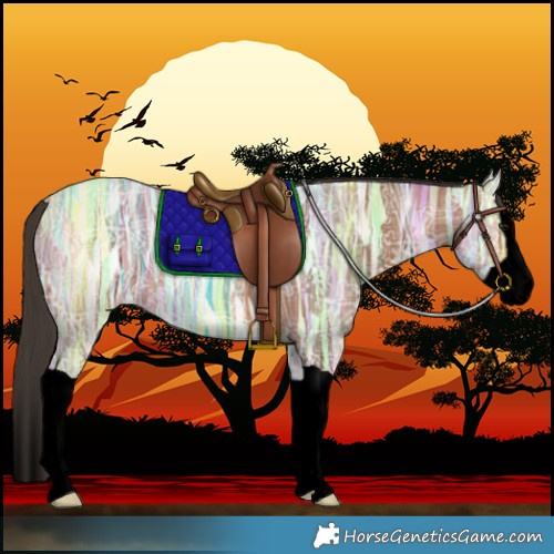 Horse Color:Void Bay Ice Splash 