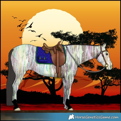 Horse Color:Void Brown Ice 