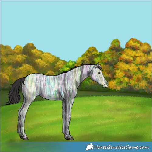 Horse Color:Smoky Black Ice 