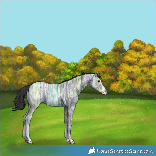 Horse Color:White Spotted Black Ice 