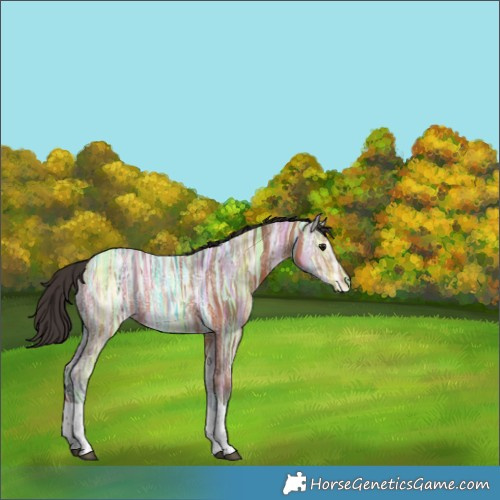 Horse Color:Bay Ice Tobiano Rabicano 