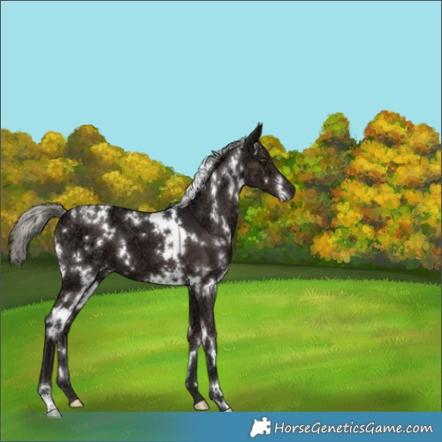 Horse Color:White Spotted Liver Chestnut Ice Mushroom 