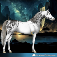 Horse Color:White Spotted Liver Chestnut Ice Mushroom