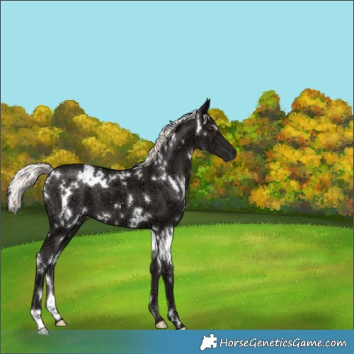 Horse Color:White Spotted Liver Chestnut Ice Mushroom 