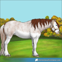 Horse Color:Red Roan Splash Varnish 