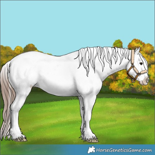 Horse Color:Classic Champagne Tobiano Snowcap 