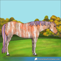 Horse Color:Painted Chocolate Palomino Ice 