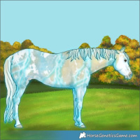 Horse Color:Thunderstruck White Spotted Palomino Ice Dun Splash 