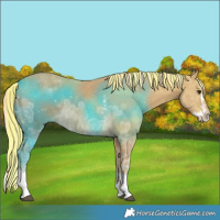 Horse Color:Painted Palomino Ice Sabino Splash 
