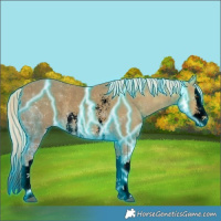Horse Color:Void Thunderstruck Palomino Ice Sabino Splash 