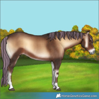 Horse Color:Painted Liver Red Onyx 
