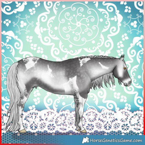 Horse Color:Silver Smoky Blue Onyx Chinchilla Tobiano 