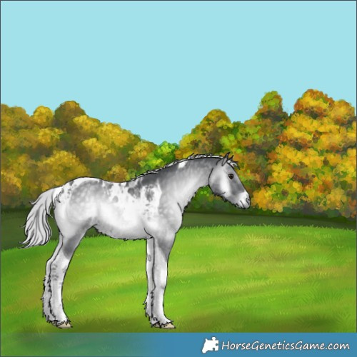 Horse Color:Silver Blue Onyx Chinchilla Tobiano 