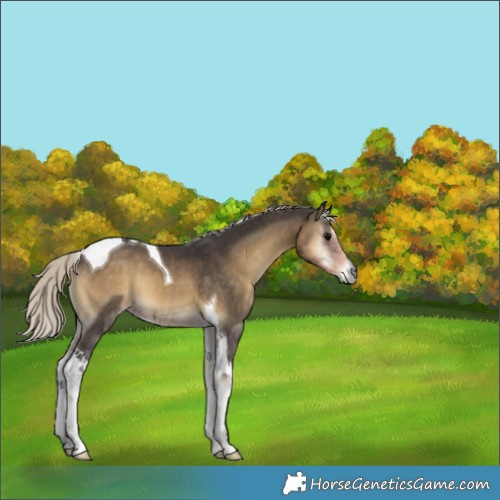 Horse Color:Silver Smoky Blue Onyx Tobiano 