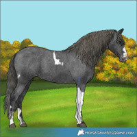 Horse Color:Black Tobiano Varnish 
