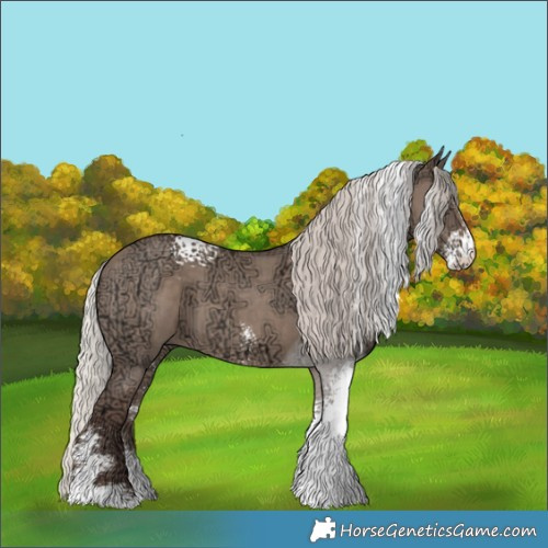 Horse Color:White Spotted Silver Grullo Ice Sabino 