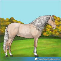 Horse Color:Silver Blue Roan Pearl Tobiano Frame