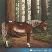 Horse Color:Liver Chestnut Tobiano 