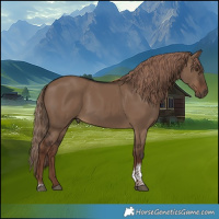 Horse Color:Liver Red Dun Tobiano