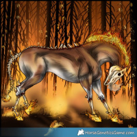 Horse Color:Red Onyx Splash