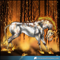Horse Color:Amber Champagne Onyx Splash Tobiano Appaloosa Rabicano 